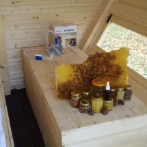 20181101_140315 20181101_140315